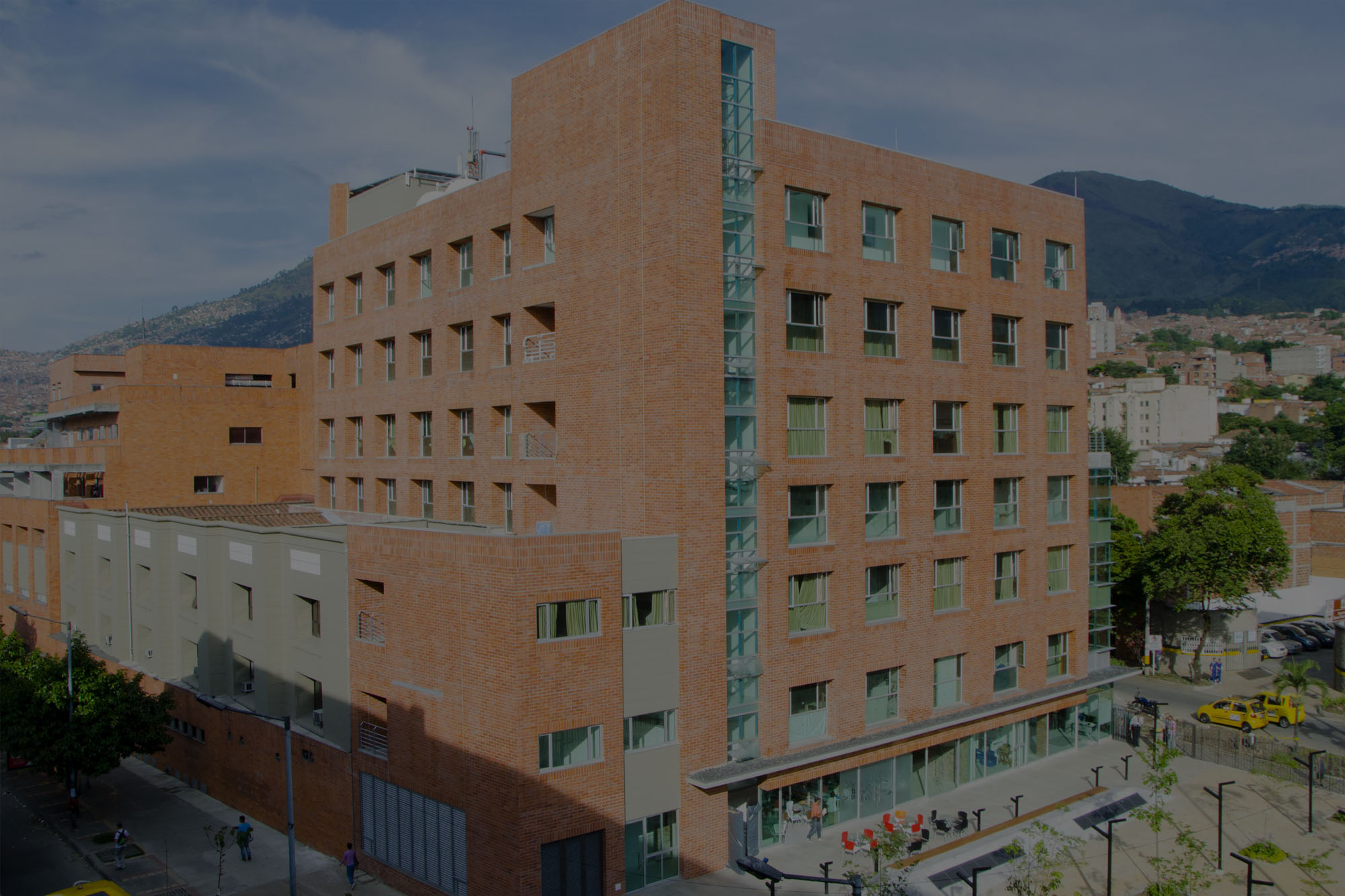 Institucional